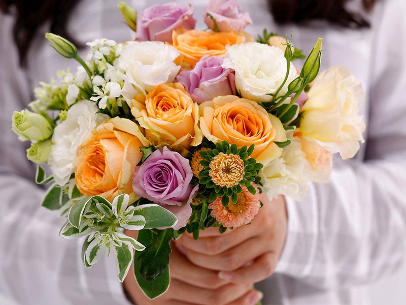 李白《清平乐·画堂晨起》清平乐其五)古诗翻译赏析阅读