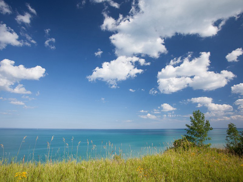 天寒水鸟自相依,十百为群戏落晖出处意思赏析