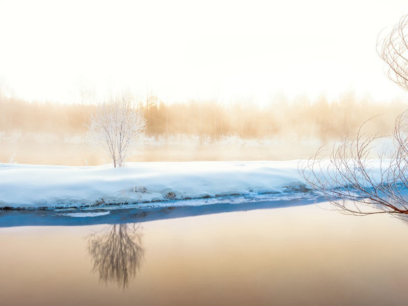 桃李不言,下自成蹊的出处意思赏析