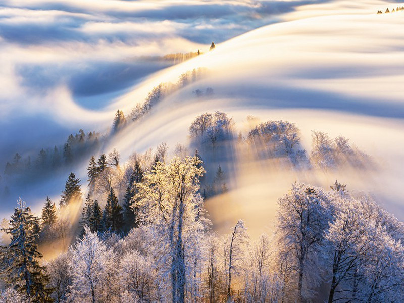 日入群动息,归鸟趋林鸣出处翻译赏析