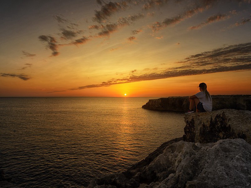待到山花烂漫时,她在丛中笑出处意思赏析