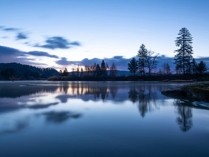 伫听寒声,云深无雁影出处意思赏析