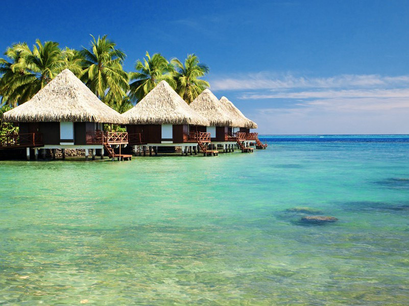 又送王孙去,萋萋满别情的出处意思赏析