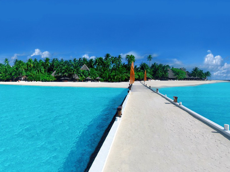 世路如今已惯,此心到处悠然出处意思赏析