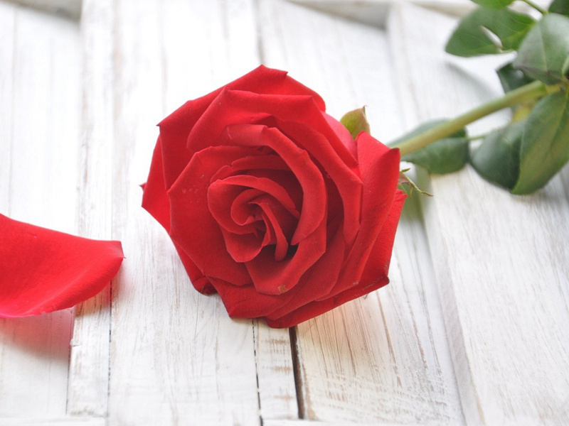 怎奈向,一缕相思,隔溪山不断出处意思赏析