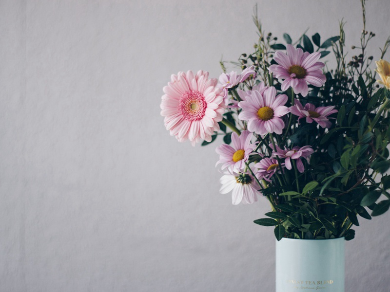 长江东,长江西,两岸鸳鸯两处飞,相逢知几时出处意思赏析