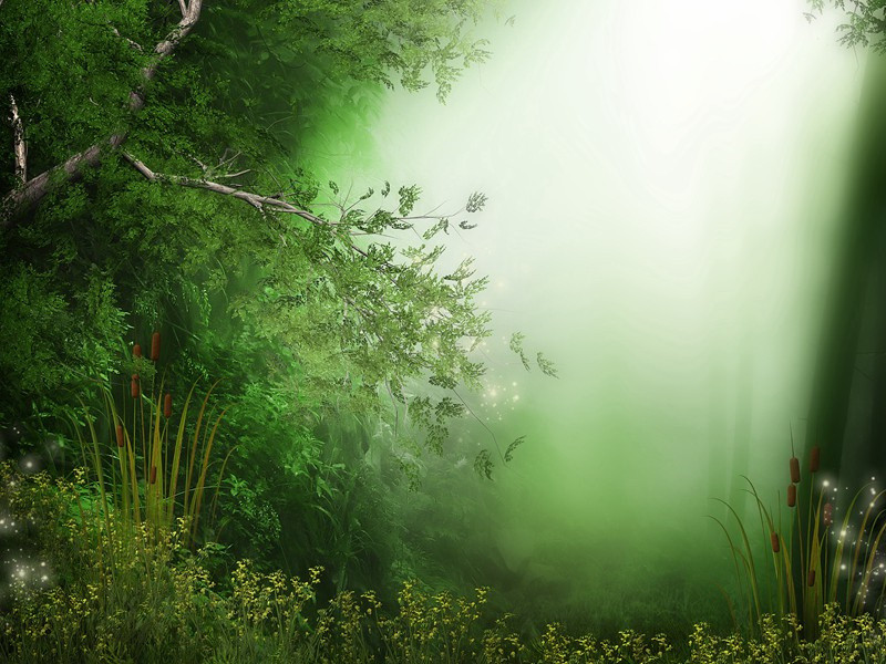 《月夜》原文翻译赏析-杜甫古诗古诗