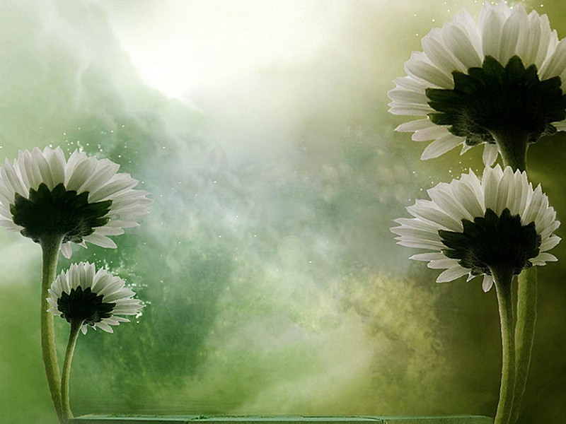 画图省识春风面,环佩空归夜月魂出处意思赏析