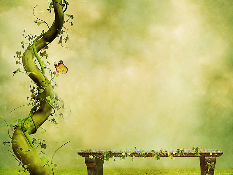 不分桃花红似锦,生憎柳絮白于棉出处意思赏析