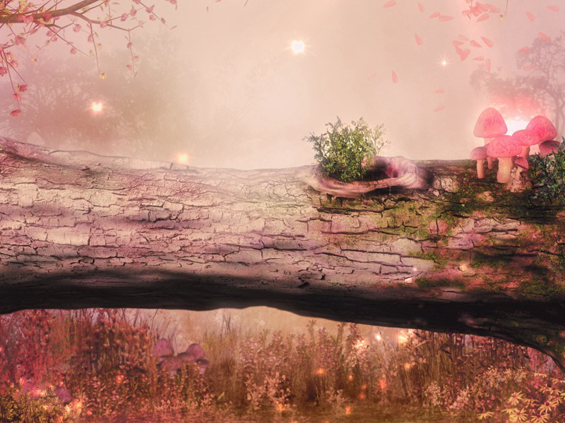 云开远见汉阳城,犹是孤帆一日程的出处意思赏析