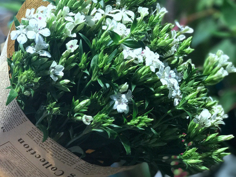 沙场烽火连胡月,海畔云山拥蓟城出处翻译赏析