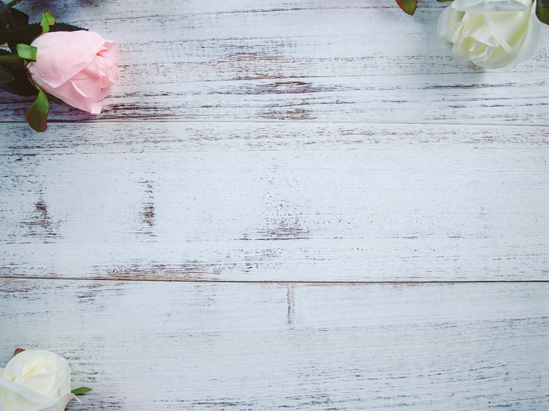 李白《清平乐·画堂晨起》清平乐其五)古诗翻译赏析阅读