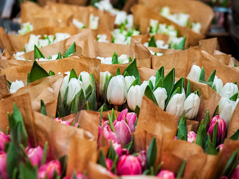 佳人-原文句解题解赏析-杜甫古诗