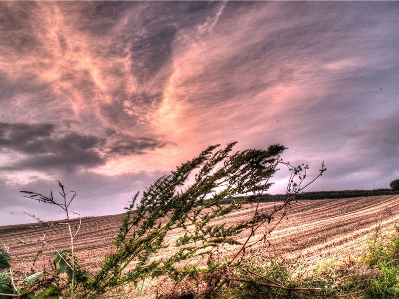 茅屋为秋风所破歌-原文句解题解赏析-杜甫古诗