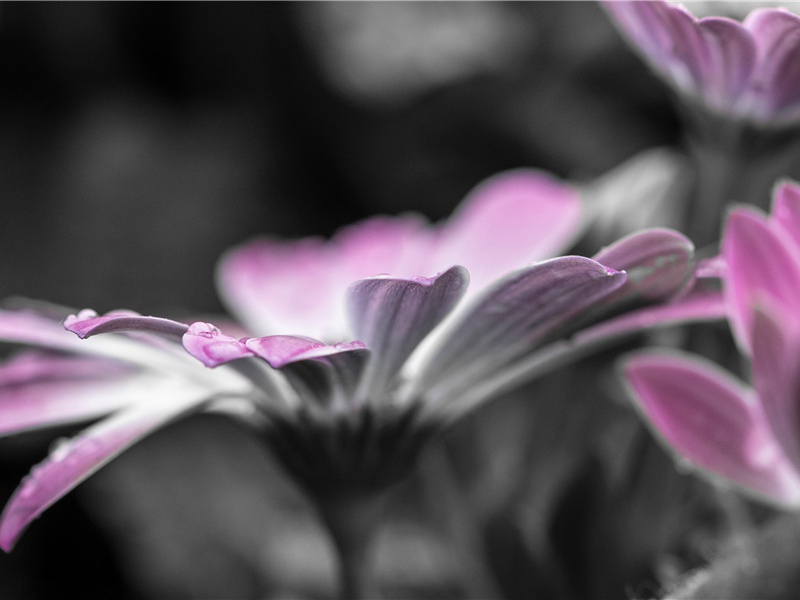 幽居-原文句解题解赏析-韦应物古诗