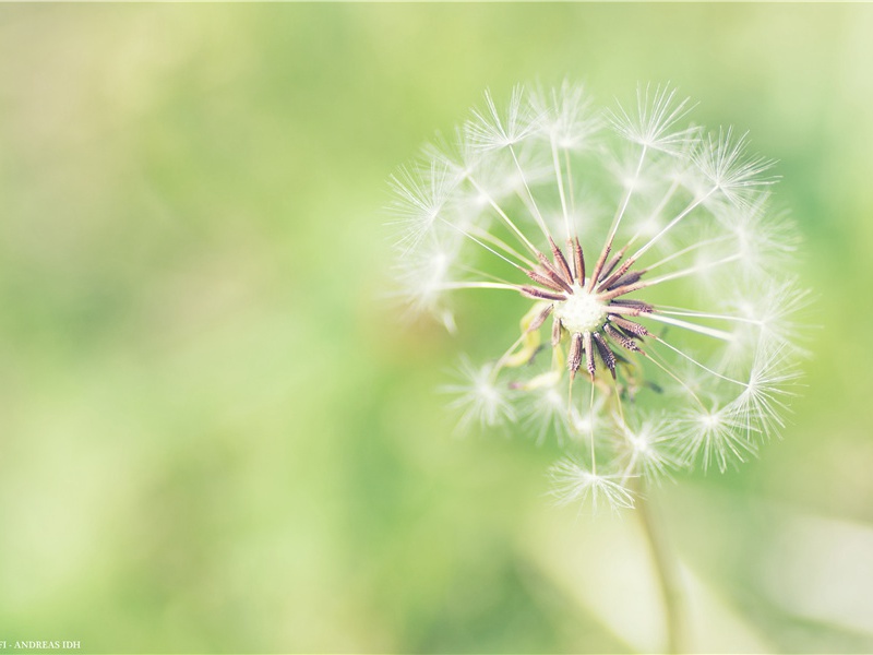 痴儿了却公家事,快阁东西倚晚晴的意思出处赏析