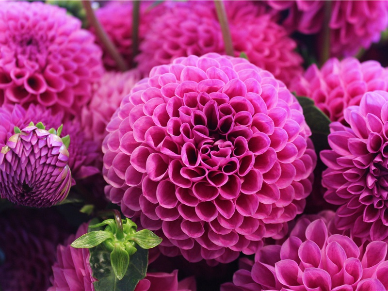 朱弦已为佳人绝,青眼聊因美酒横的出处意思赏析