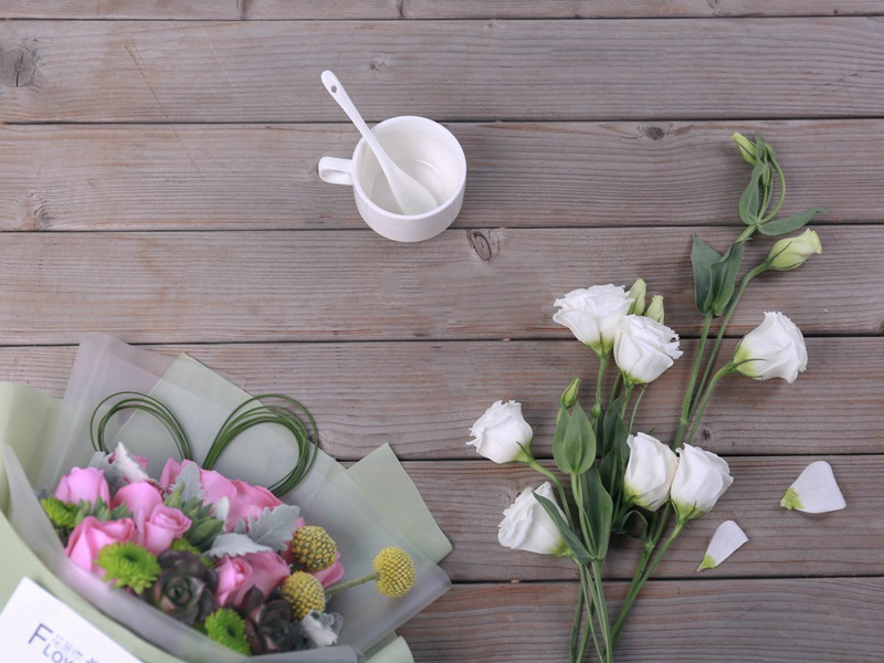 贵戚权门得笔迹,始觉屏障生光辉的出处意思赏析