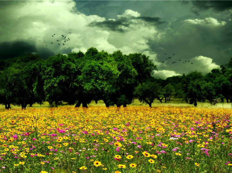 我欲渡河水,河水深无梁出处意思赏析