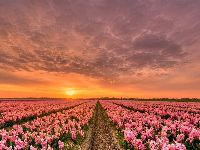 将军得名三十载,人间又见真乘黄的出处意思赏析