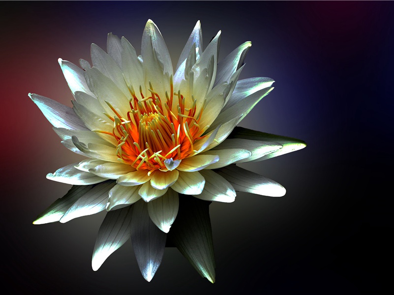 折花逢驿使,寄与陇头人的出处意思赏析