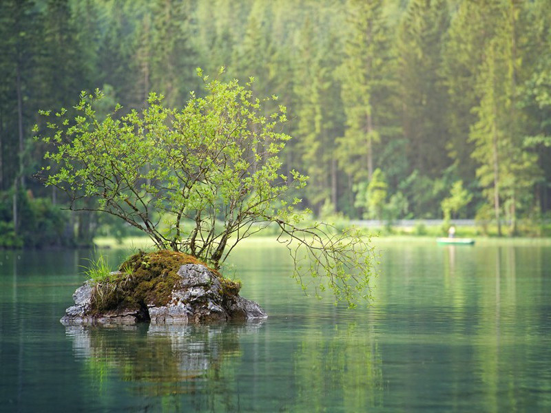 忽如一夜春风来,千树万树梨花开出处意思赏析