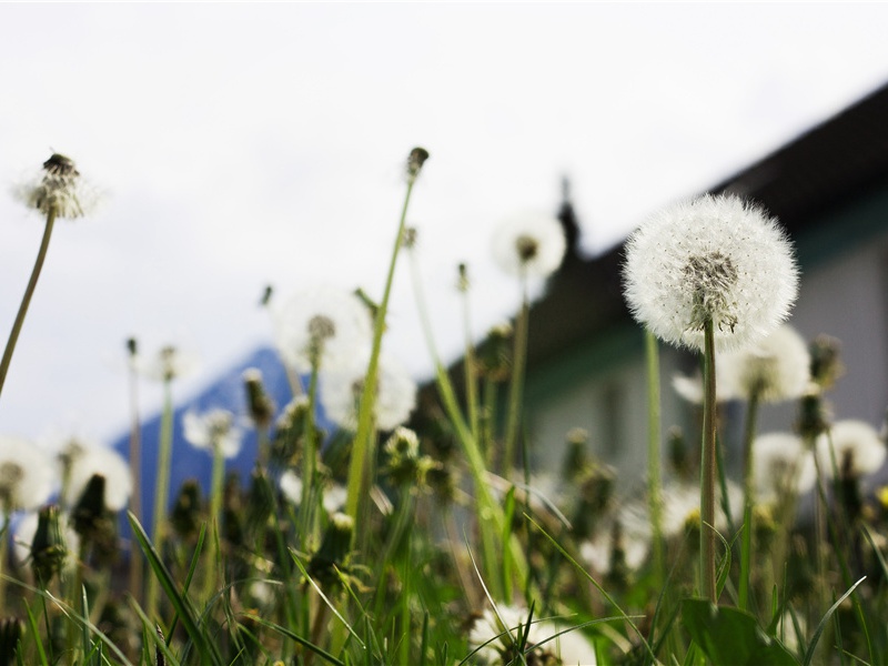 《念奴娇·过洞庭》原文翻译赏析-张孝祥古诗