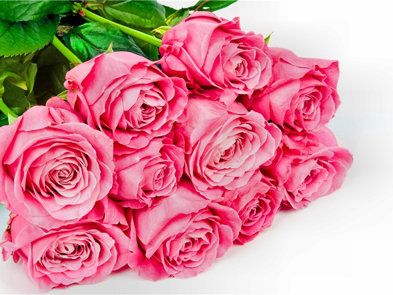 蜀相-原文句解题解赏析-杜甫古诗