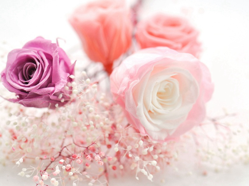 织妇何太忙,蚕经三卧行欲老出处意思赏析