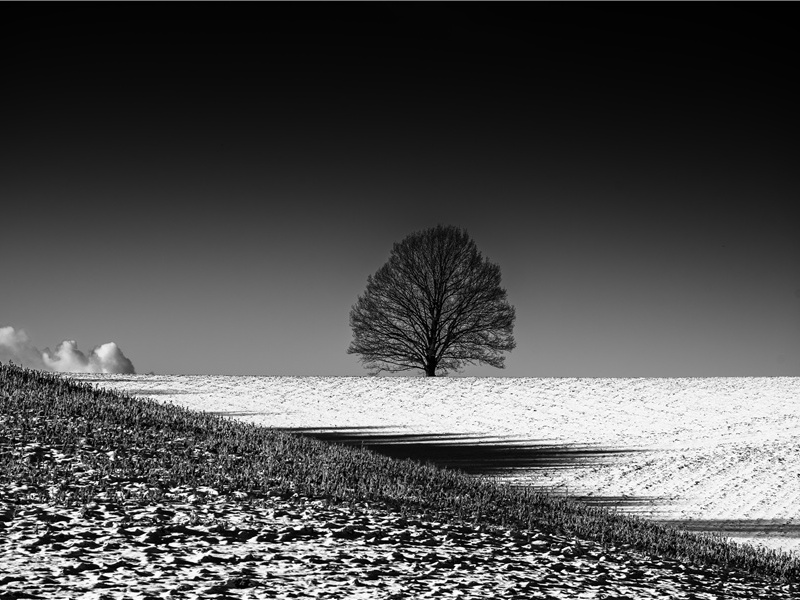 石头巉岩如虎踞,凌波欲过沧江去出处意思赏析