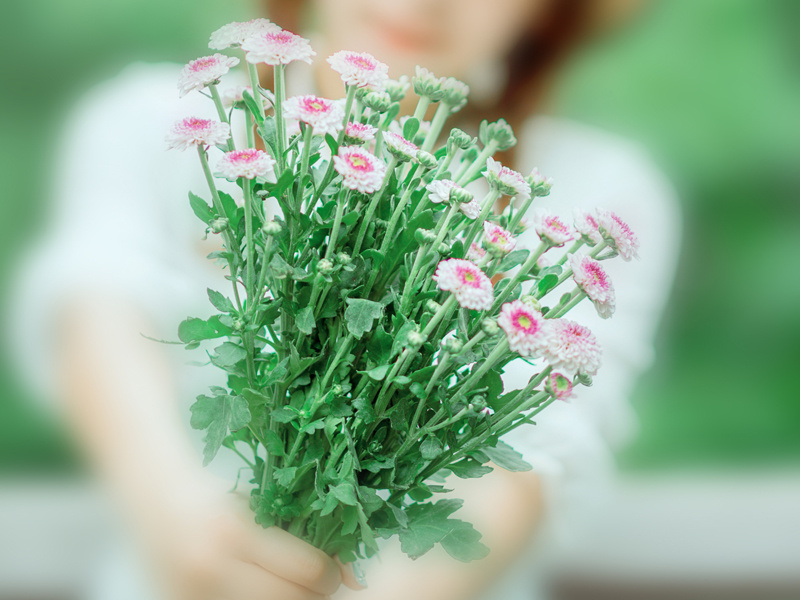 雨霖铃·寒蝉凄切-原文句解题解赏析-柳永古诗