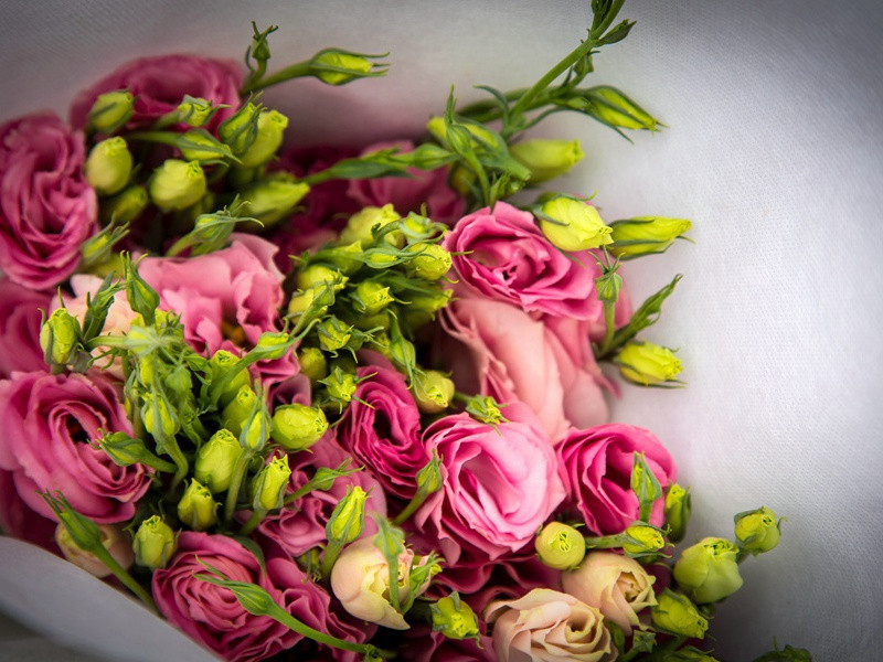 归朝欢·别岸扁舟三两只-原文句解题解赏析-柳永古诗