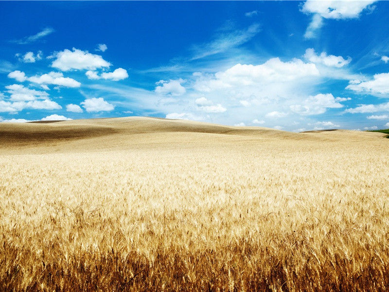 五岳寻仙不辞远,一生好入名山游出处意思赏析