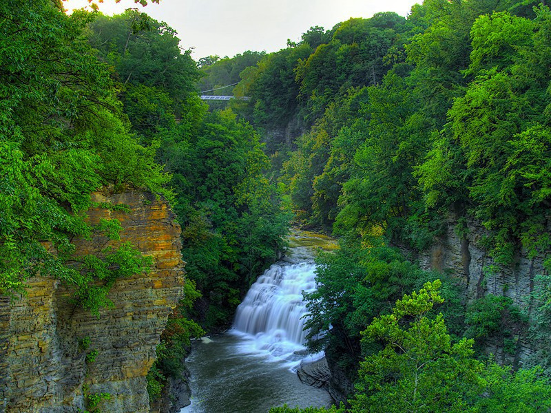 存者且偷生,死者长已矣出处意思赏析