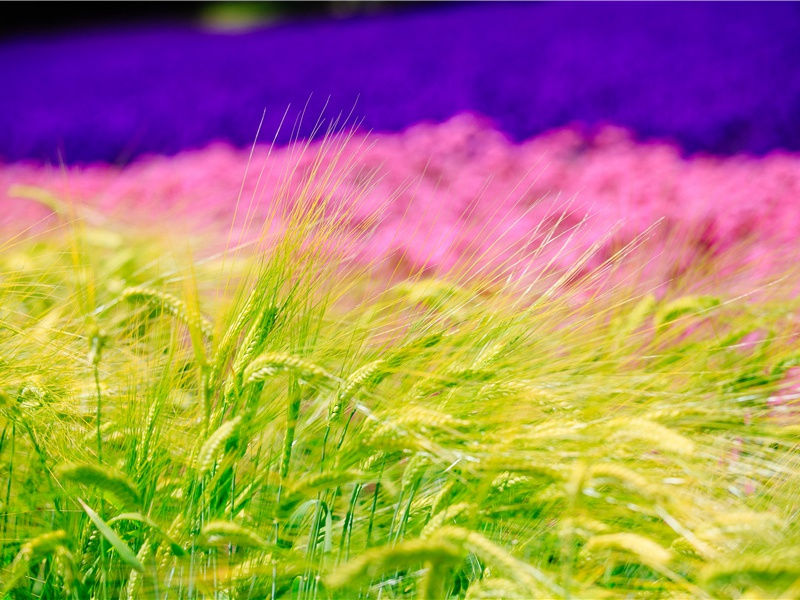 凭空怒浪兼天涌,不尽六朝声出处意思赏析