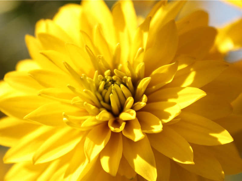 死生契阔,与子成说的出处意思赏析