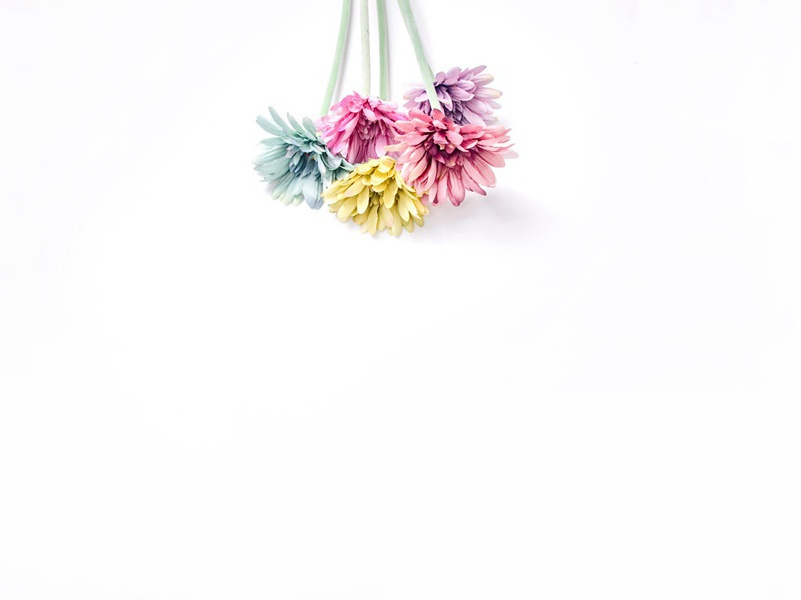 青女素娥俱耐冷,月中霜里斗婵娟出处翻译赏析