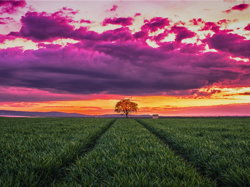 《秋思寄子由》赏析-黄庭坚的诗