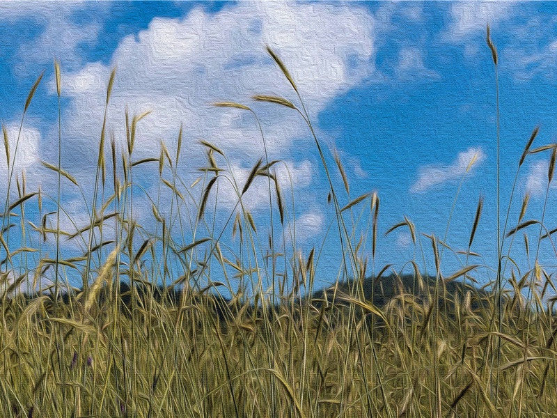 《戏呈孔毅父》赏析-黄庭坚的诗