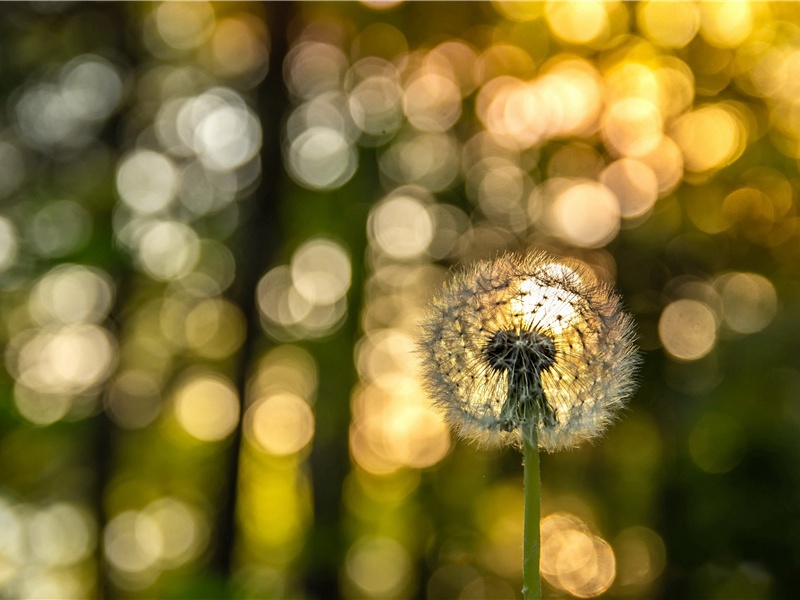 《次元明韵寄子由》赏析-黄庭坚的诗