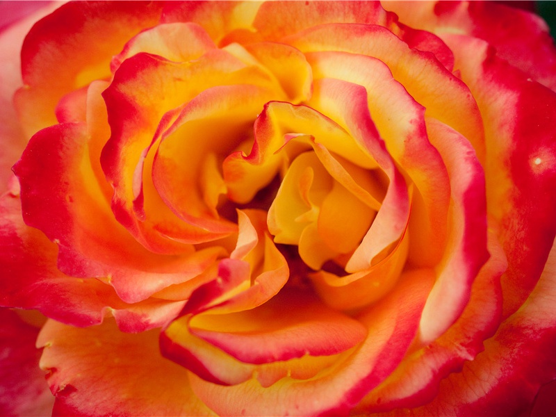 《云涛石》赏析-黄庭坚的诗