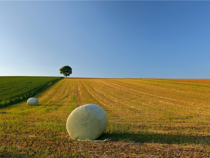 南阳只在荆州北,时一登高吊卧龙出处意思赏析