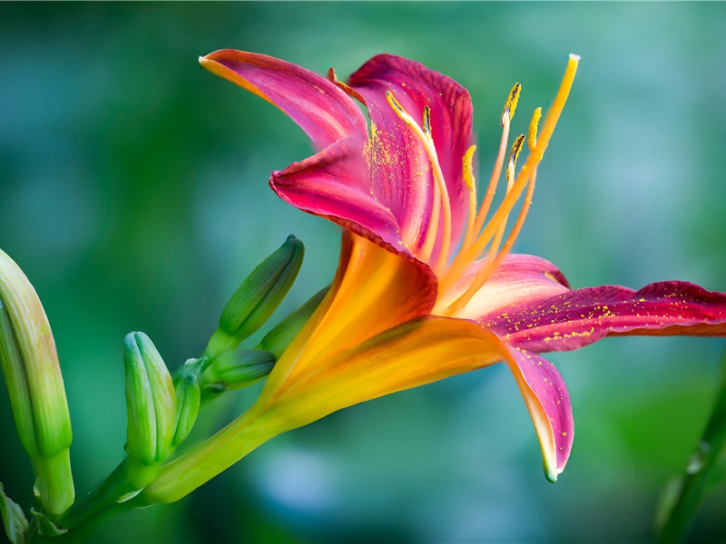 李白《古风·三季分战国》古风其二十九)古诗翻译赏析阅读