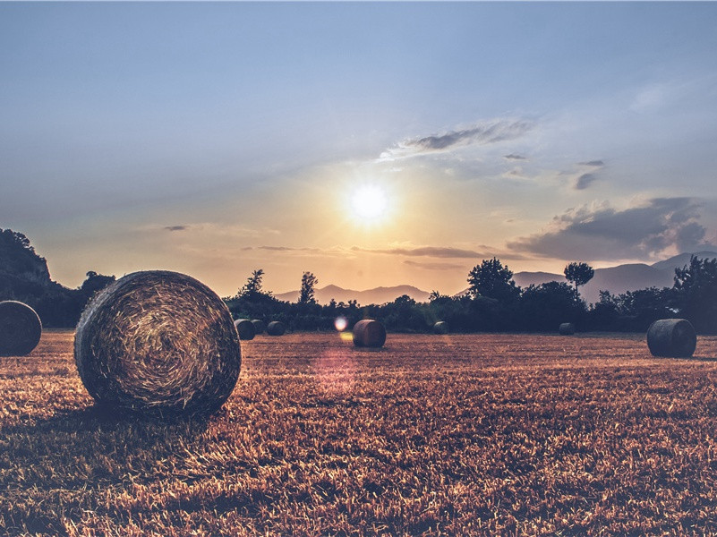 明月楼高休独倚,酒入愁肠,化作相思泪出处意思赏析