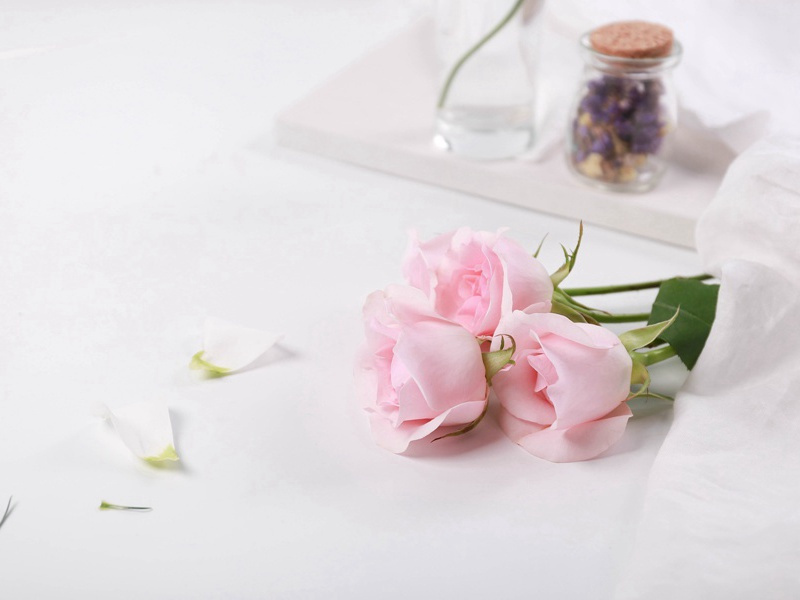 将军画善盖有神,必逢佳士亦写真的出处意思赏析