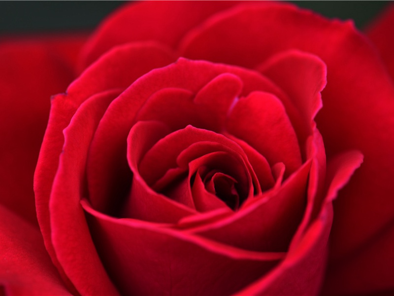 鼙鼓动时雷隐隐,兽头凌处雪微微出处意思赏析