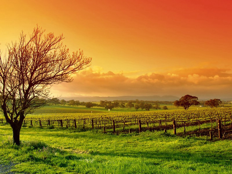 《正月二十日,往歧亭,郡人潘、古、郭三人送余于女王城东禅庄院雪后到乾明寺,遂宿》赏析-苏轼的诗