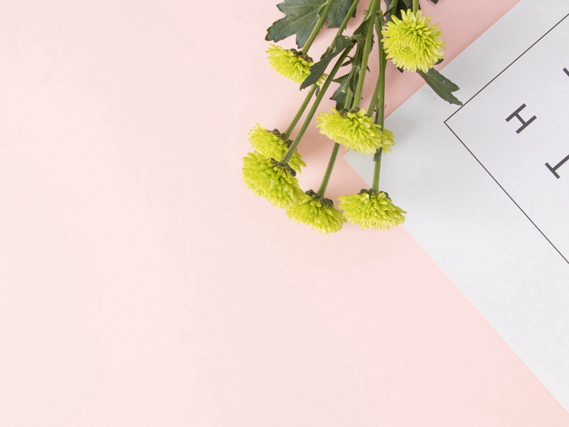 今逢四海为家日,故垒萧萧芦荻秋出处意思赏析