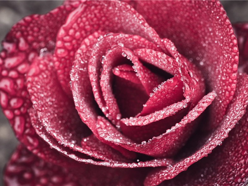 小风疏雨萧萧地,又催下千行泪出处意思赏析