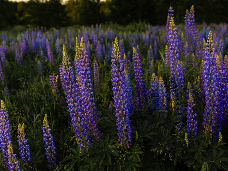 雨恨云愁,江南依旧称佳丽出处意思赏析